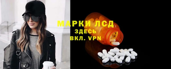 apvp Алзамай