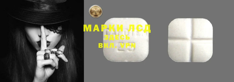 тгк Алексин