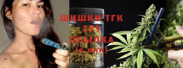 тгк Алексин