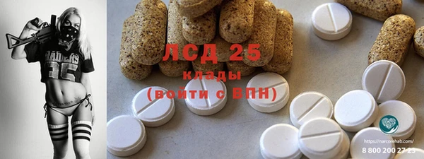 соль ск Новозыбков