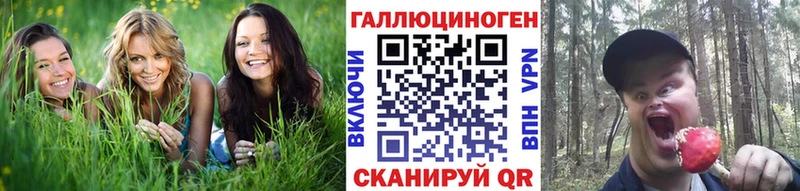 где найти Юрьев-Польский Псилоцибиновые грибы прущие грибы